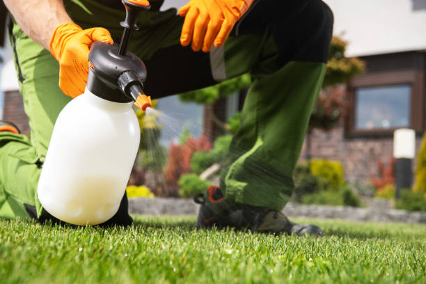 Best Residential Pest Control  in Muniz, TX